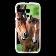 Coque Motorola G Jument et son poulain
