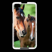 Coque Blackberry Z30 Jument et son poulain