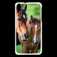 Coque HTC Desire 816 Jument et son poulain