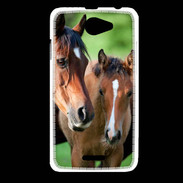Coque HTC Desire 516 Jument et son poulain