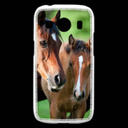 Coque Samsung Galaxy Ace4 Jument et son poulain