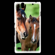 Coque Sony Xperia C4 Jument et son poulain