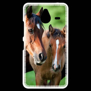 Coque Personnalisée Nokia Lumia 640XL LTE Jument et son poulain