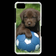 Coque Blackberry Z10 Labrador
