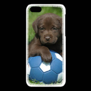Coque iPhone 5C Labrador