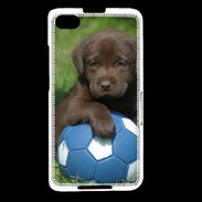 Coque Blackberry Z30 Labrador