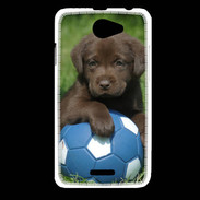 Coque HTC Desire 516 Labrador