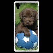Coque Sony Xperia Z2 Labrador