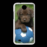 Coque HTC Desire 300 Labrador