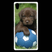 Coque Sony Xperia Z5 Premium Labrador