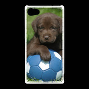 Coque Sony Xperia Z5 Compact Labrador