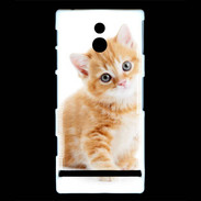 Coque Sony Xperia P Chaton marron et blanc