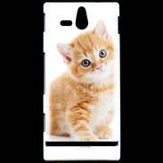 Coque Sony Xperia U Chaton marron et blanc