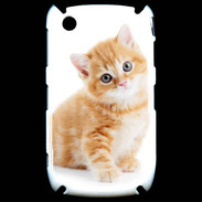Coque Blackberry 8520 Chaton marron et blanc