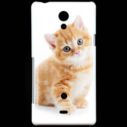 Coque Sony Xperia T Chaton marron et blanc