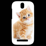 Coque HTC One SV Chaton marron et blanc
