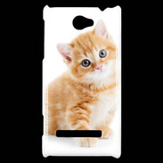 Coque HTC Windows Phone 8S Chaton marron et blanc