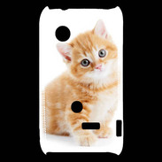 Coque Sony Xperia Typo Chaton marron et blanc