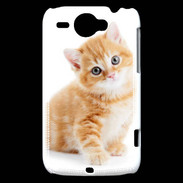 Coque HTC Wildfire G8 Chaton marron et blanc