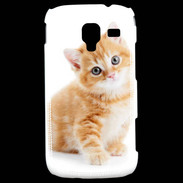 Coque Samsung Galaxy Ace 2 Chaton marron et blanc