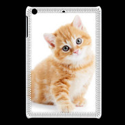Coque iPadMini Chaton marron et blanc