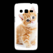 Coque Samsung Galaxy Express2 Chaton marron et blanc