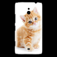 Coque Nokia Lumia 1320 Chaton marron et blanc