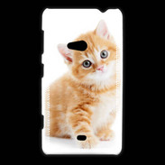 Coque Nokia Lumia 625 Chaton marron et blanc