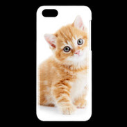Coque iPhone 5C Chaton marron et blanc