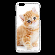Coque iPhone 6Plus / iPhone 6Splus Chaton marron et blanc