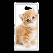 Coque Sony Xperia M2 Chaton marron et blanc