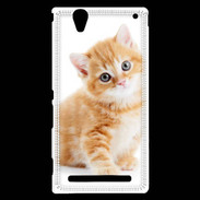 Coque Sony Xperia T2 Ultra Chaton marron et blanc