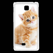 Coque LG F5 Chaton marron et blanc