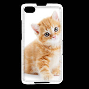 Coque Blackberry Z30 Chaton marron et blanc