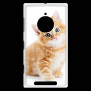 Coque Nokia Lumia 830 Chaton marron et blanc