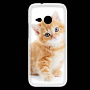 Coque HTC One Mini 2 Chaton marron et blanc
