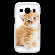 Coque Samsung Galaxy Ace4 Chaton marron et blanc