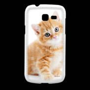 Coque Samsung Galaxy Fresh Chaton marron et blanc