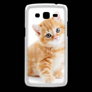 Coque Samsung Core Plus Chaton marron et blanc