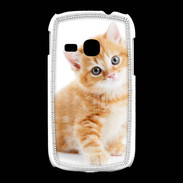 Coque Samsung Galaxy Young Chaton marron et blanc
