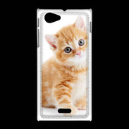 Coque Sony Xpéria J Chaton marron et blanc
