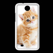 Coque HTC Desire 300 Chaton marron et blanc