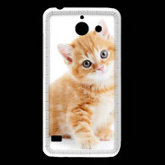 Coque Huawei Y550 Chaton marron et blanc