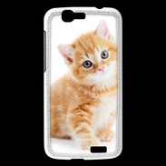 Coque Huawei Ascend G7 Chaton marron et blanc