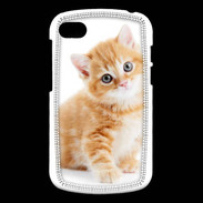 Coque Blackberry Q10 Chaton marron et blanc