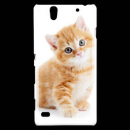 Coque Sony Xperia C4 Chaton marron et blanc