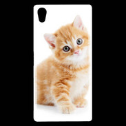 Coque Sony Xperia Z5 Premium Chaton marron et blanc