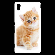 Coque Sony Xperia M4 Aqua Chaton marron et blanc