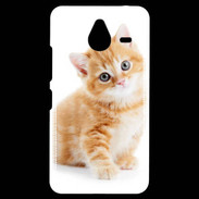 Coque Personnalisée Nokia Lumia 640XL LTE Chaton marron et blanc
