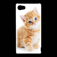 Coque Sony Xperia Z5 Compact Chaton marron et blanc